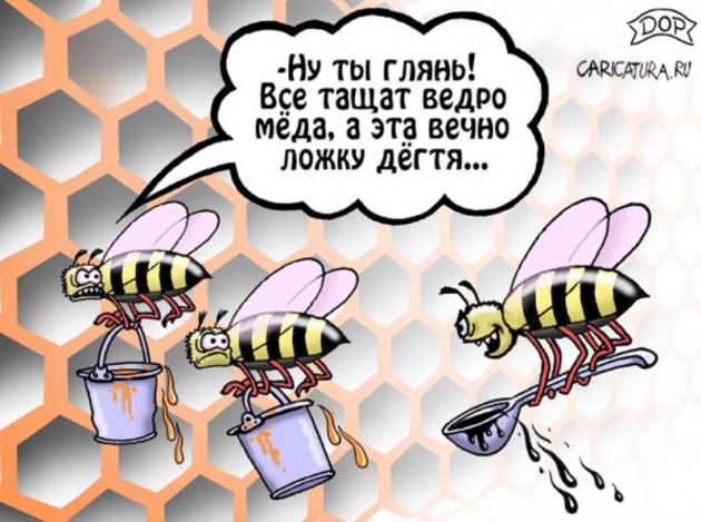 Анекдот про пчелиному Анекдот про пчелиному