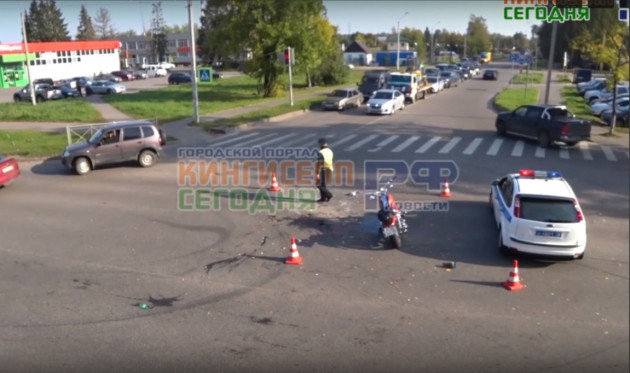 Поле чудес, магазин продуктов, ул. Дорожников, 24, Кингисепп - Яндекс Карты