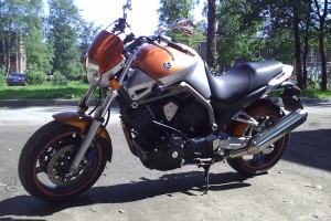 Yamaha Bulldog 1100